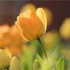 1月の振り返り