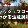 キャッシュフローで要注意な企業を探れ！