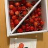 ６月・・株主優待ぞくぞくでほくほく