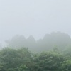 今朝の景色