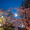 2月15日は西行忌「願わくば花の下にて春死なむ・・・」。そんなにダメな歌？「嘆けとて月やは物を思はする・・・」百人一首86番