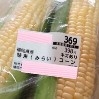 はてなホッコリーナ