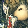 ゾ・シア装備を作るために調査クエストを周回しました【MHWilds】