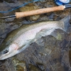 同じサイズの魚なら、湖よりも川で釣った方が嬉しい。