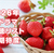 2026年 春ドラマ 視聴リスト＆期待度