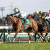 競馬初心者必見☆馬券予想🔥〜フラワーC〜福永厩舎に重賞3勝目を
