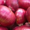 Onion Distributors Deal with All Kinds of Onions Suitable for Preparing Curries & Pickles