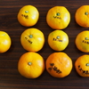 早生みかんの出荷説明会＆嬉しいトマトとキュウリとキウイ＆今年最後のさえずり句会♪