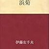 浜菊　伊藤左千夫 著