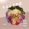 7月と8月の教室予定です