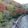 古岩屋の紅葉　KUMAカフェさんでランチ