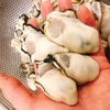 2020年2月10日のおかず♪