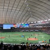 【野球観戦log】阪神VS巨人戦(17回戦)