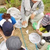 「夏だ！子ども自然探検隊」　第一回　ワッターイチムシ標本づくり