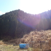 山口三名水の「柳の水」にはヤギがいます。花太郎と桃子です。