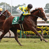 競馬初心者必見☆馬券予想🔥〜愛知杯〜明け4歳の勢いは止められない！