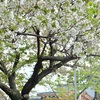 今朝は豊功神社