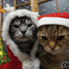 クリスマスイブ前夜祭