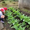 11月4日(金)　学校の様子（記事更新）