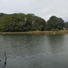 千代田湖１７