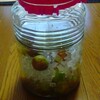 青梅ぎりぎりGET！海街diaryを見てから作りたくてしょうがなかった