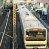 夕陽を浴びて快調に走る湘南新宿ライン宇都宮行き普通列車