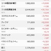 日本株の保有状況（20240217）