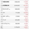 日本株の保有状況（20240217）