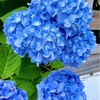 6月10日