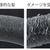 髪の毛のダメージには種類がある…