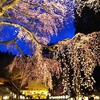 【観光】福島は夜桜も名所だぜ！オススメ南湖公園の桜です