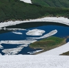 鳥海山ー残雪と花の季節ー