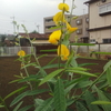 終日雨だった！