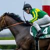競馬初心者必見☆馬券予想🔥〜函館スプリントS〜ナムラクレアに疑心暗鬼？
