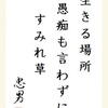 生きる場所愚痴も言わずにすみれ草