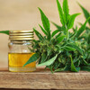 How To Pick The Greatest Grade CBD Oil