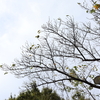結婚記念日に！　妻に「今日は何の日か わかる？」ときいてみると！！！