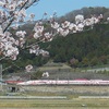 ハローキティ新幹線と桜