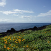 船で行く東京、伊豆大島 一泊二日①：海鮮料理が美味しい温泉宿に泊まって島内サイクリング