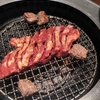 肉肉肉