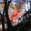 勝俣部長の「高尾登山と健康体質作り」４３７････何はともあれ「健康」で