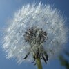 恐竜のいる公園、これぞ海。