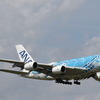 ANAのエアバスA380「フライングホヌ」を撮る！！④