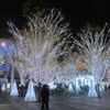 12月に
