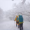 鈴鹿　綿向山　樹氷の回廊でスノーハイク　2013.01.20