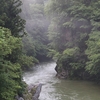 肴の山菜料理【今シーズン最後の山菜採り？】