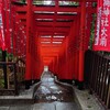 日枝神社（山王稲荷神社）の稲荷参道・色な場所の思い出・赤2…