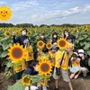 🍀🎶~田彦店~（ひまわり畑への遠足🌻）🍀🎶　　　　　　　　　　　　　#ひたちなか市　#ひたちなか　#療育　#リハビリ　#作業療法士　#言語聴覚士　　#リハビリ強化型　#ハッピースマイル　#児童発達支援　#放課後デイサービス　#保育園等訪問支援事業　#発達障害　#発達障がい　♯向日葵畑