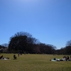 【日常】砧公園、桜とゴジラ