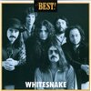 音楽の話♫Vol.11　”READY　AN'　WILLING”　Whitesnake